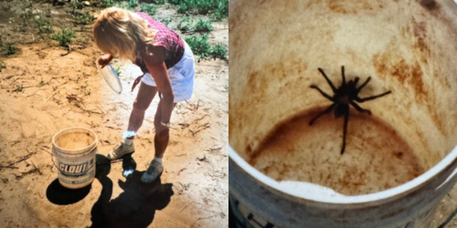 A photo of Sylvia and a spider.