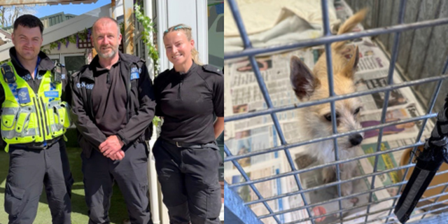 A photo police and the dog they turned in.
